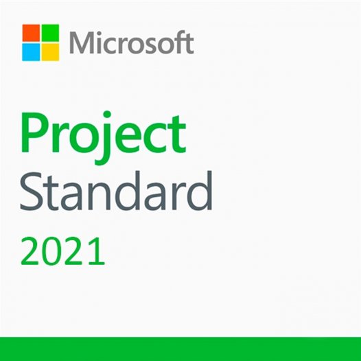 Project Standard 2021